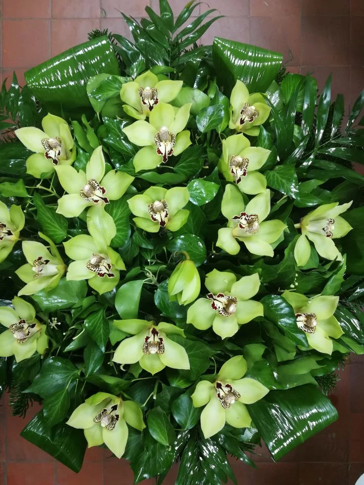 Zöld orchidea fekvő koszorú (FK-107)