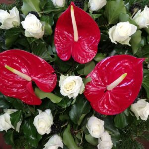 Anthurium, fehér rózsa fekvő koszorú (FK-27)