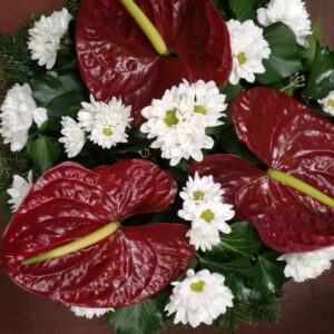 Anthurium, krizantém fekvő koszorú (FK-96)