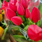 Mindig friss szálas virágok Farkasréti Nefelejcsvirág Üzletben!