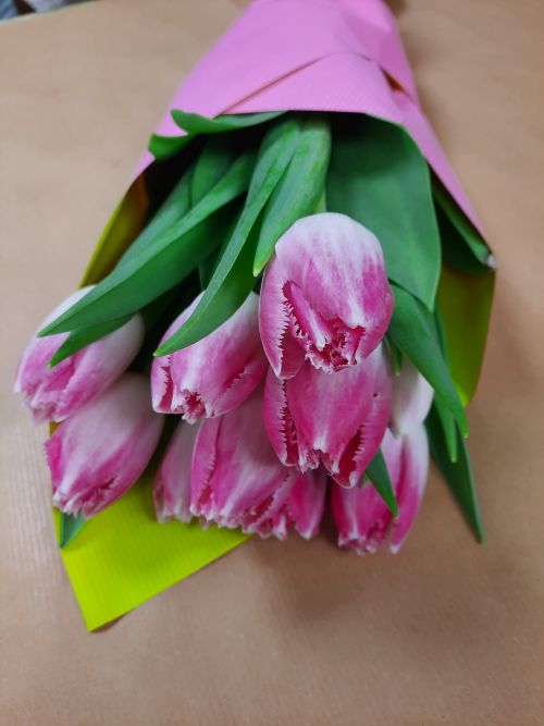 Tulipán csokor 10 szál! Keresse mindig friss virág választékomat Budapesten, a Farkasréti Zsidó temetőnél, a Farkasréti Nefelejcsvirág Üzletemben.